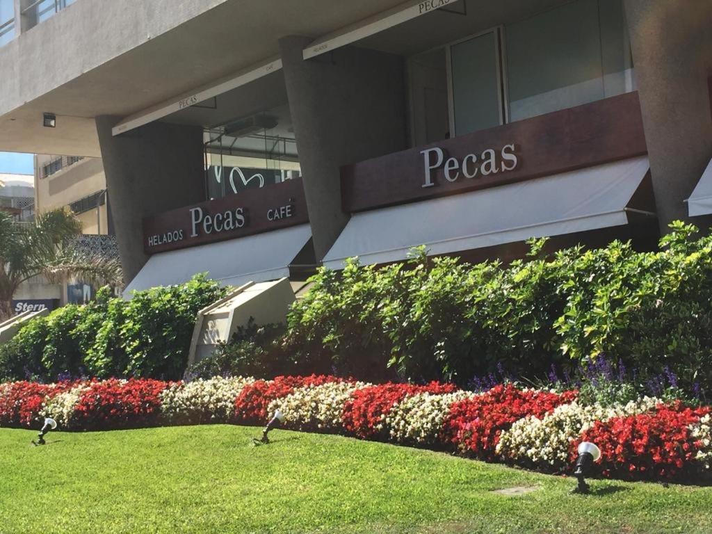 Depto Daria Punta Del Este Ngoại thất bức ảnh